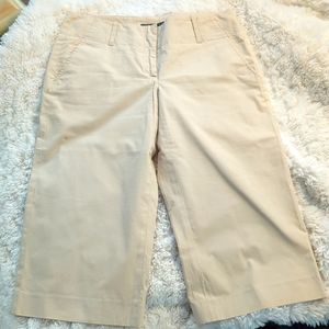 THEORY Bermuda Shorts Sz 2